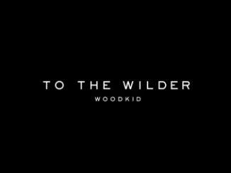 To The Wilder Lyrics  Woodkid